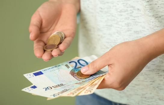 Ingreso Minimo Vital IMV