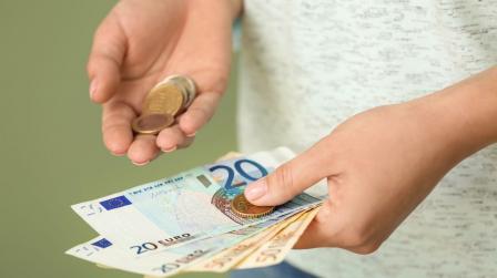 Ingreso Minimo Vital IMV