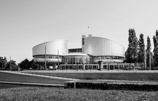 Tribunal Europeo Derechos Humanos