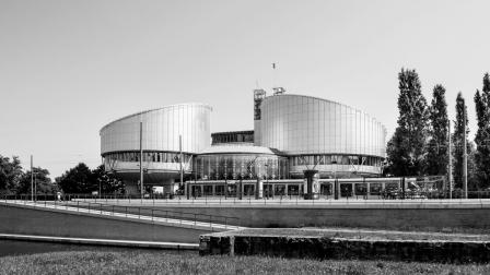Tribunal Europeo Derechos Humanos