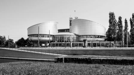 Tribunal Europeo Derechos Humanos