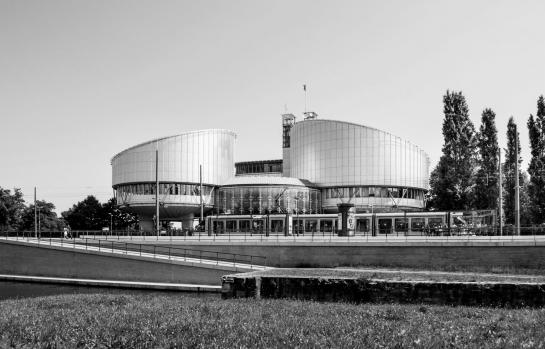 Tribunal Europeo Derechos Humanos
