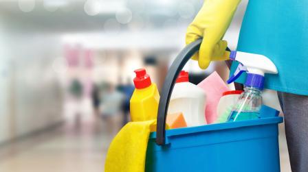 Empleadas del hogar subsidio