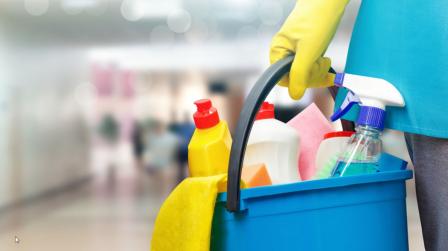 Subsidio a empleadas de hogar