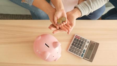 Aprobacion Ingreso Minimo Vital