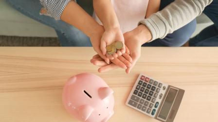 Aprobacion Ingreso Minimo Vital