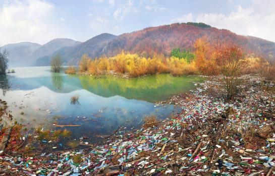 Delito medio ambiente