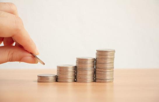 Ingreso mínimo vital imagen