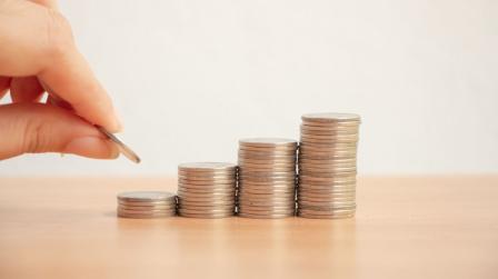 Ingreso mínimo vital imagen