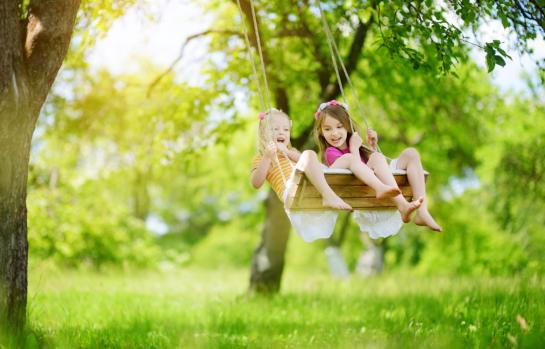 Ley de protección a la infancia