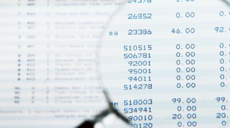 Auditoria sector publico