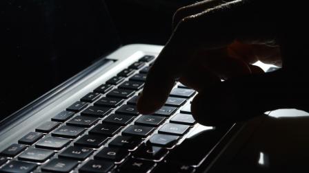 Ciberseguridad delito SS