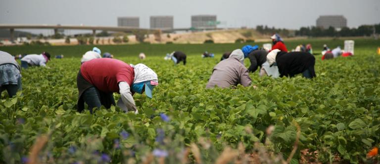 El Ts Dictamina Que El Abono Continuado De Parte De Las Retribuciones Fuera De Nomina Justifica La Extincion Indemnizada Del Contrato A Peticion Del Trabajador El Derecho Sector Juridico Social