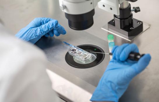 Tratamiento de fertilidad