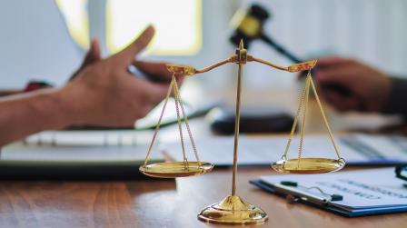 Procedimiento judicial
