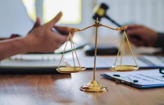 Procedimiento judicial