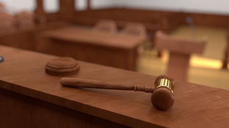 Actividad tribunales