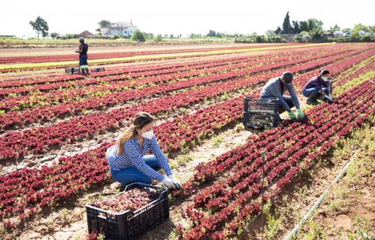 Inmigrantes y permiso de trabajo