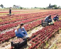 Inmigrantes y permiso de trabajo