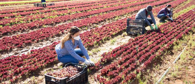 Inmigrantes y permiso de trabajo