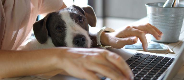 Teletrabajo en la Administración