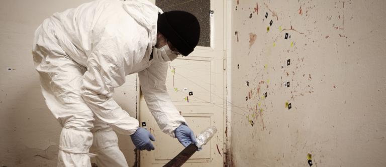 investigación crimen