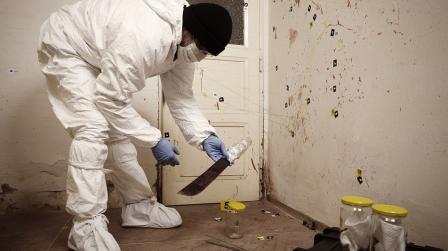 investigación crimen