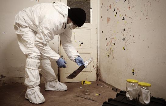 investigación crimen