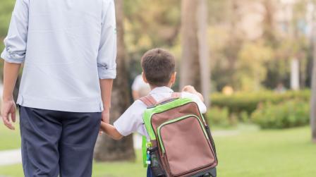 escolarizacion menor