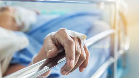 shutterstock_564755803