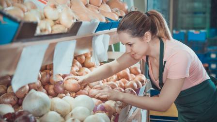 Base de cotizacion autonomo_imagen