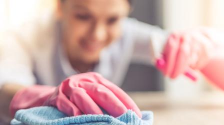 inspeccion relacion laboral empleada hogar_imagen