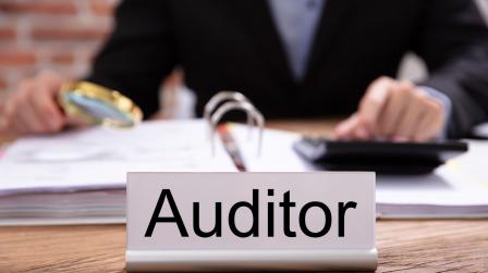 Auditor_auditoria_imagen