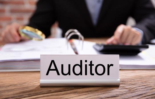 Auditor_auditoria_imagen