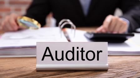Auditor_auditoria_imagen