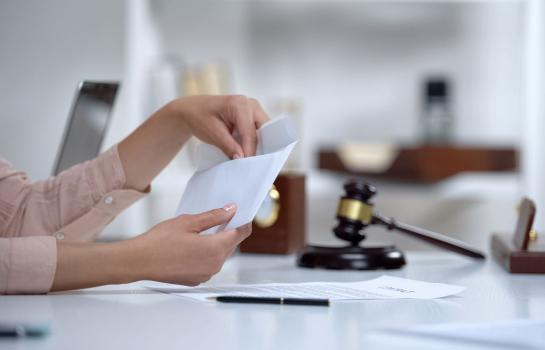 Pension de alimentos_sentencia_imagen