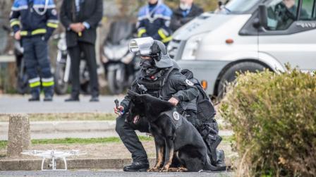 Conocimiento de investigación