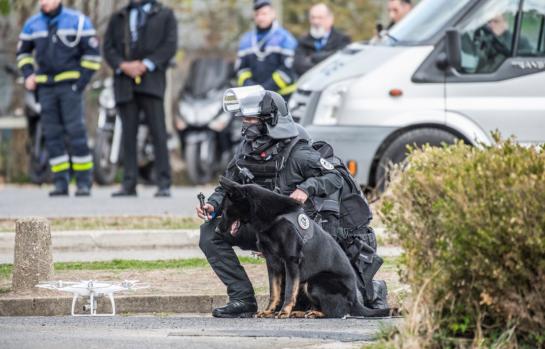 Conocimiento de investigación