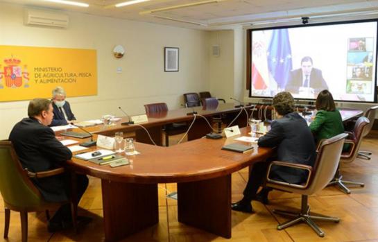 Ministro Planas