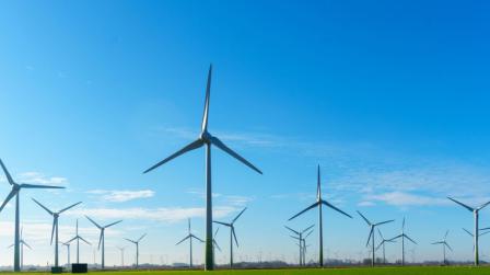 Transición ecológica