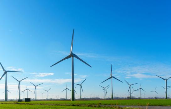 Transición ecológica