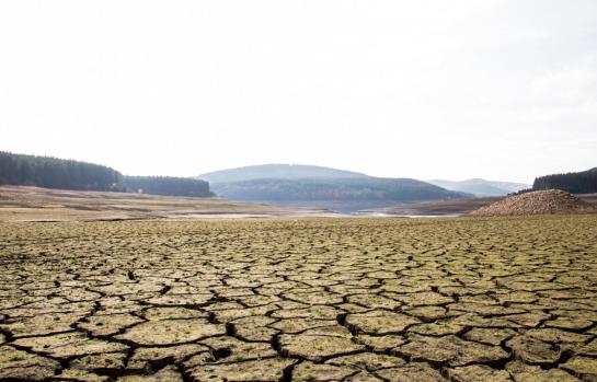 Cambio climatico