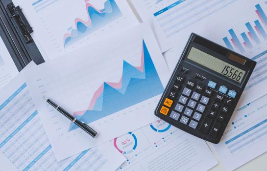 Actividad economica empresarial