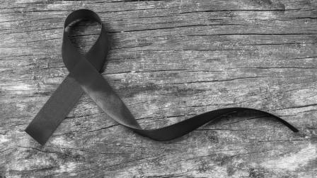 shutterstock_439375336