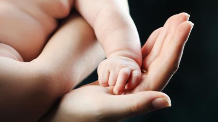 permiso juez por nacimiento_imagen