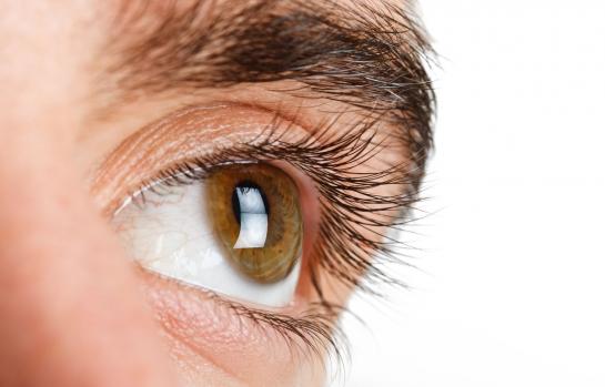 Vista_vision