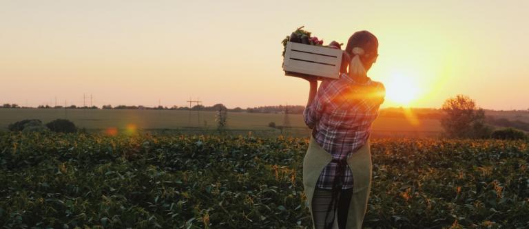 Agricultor_trabajador