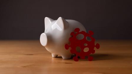 Renta vitalicia_pension_imagen