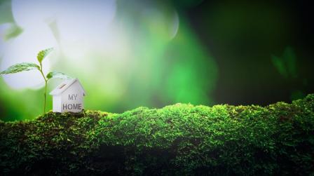 Acuerdo acceso justicia medioambiente