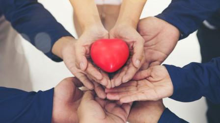 Proyecto solidario_imagen